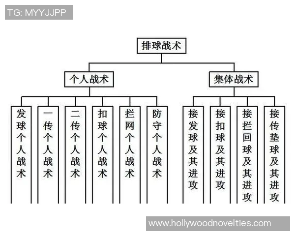 深圳排球队的整体压制战术解析与比赛策略深度剖析
