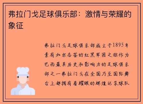 弗拉门戈足球俱乐部：激情与荣耀的象征
