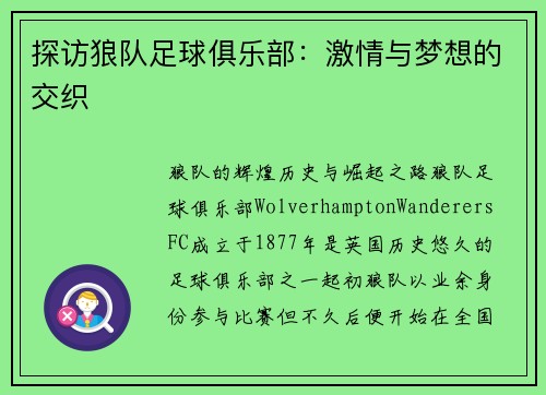 探访狼队足球俱乐部：激情与梦想的交织