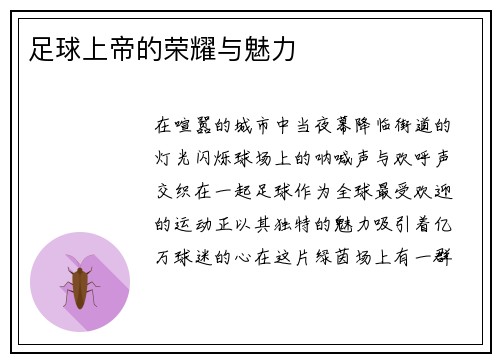 足球上帝的荣耀与魅力