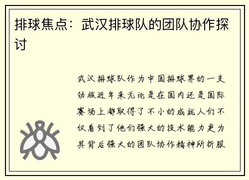 排球焦点：武汉排球队的团队协作探讨